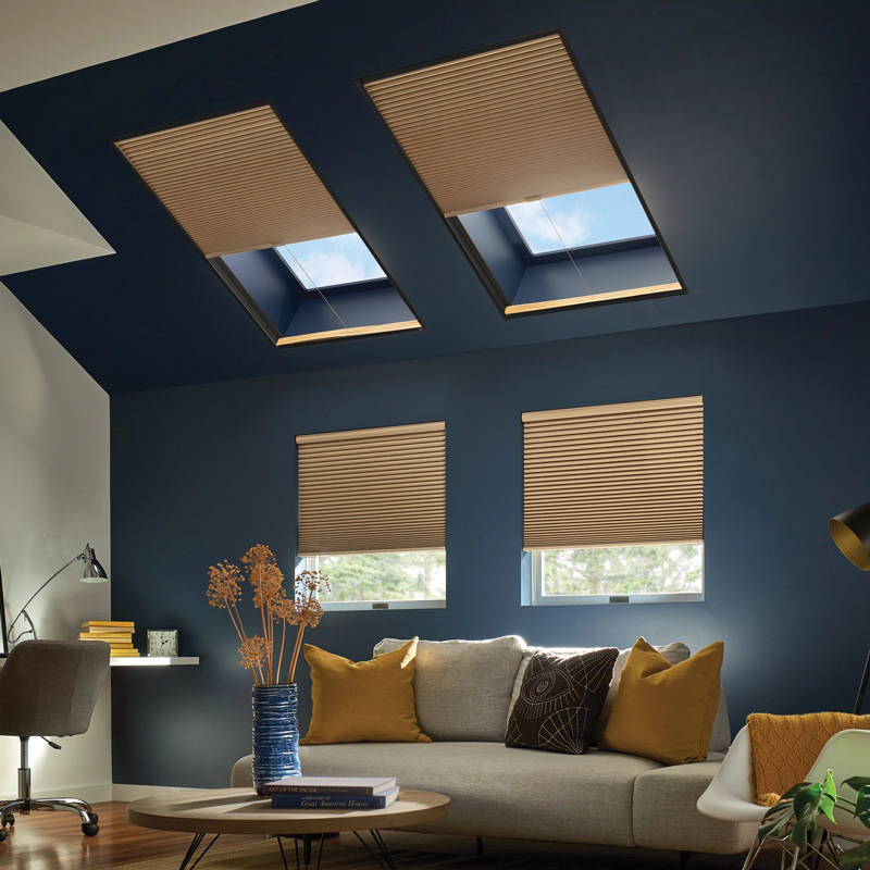 dark blue walls with blinds over the windows